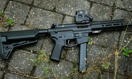 Tactical Rat Dog PCC 9mm on stone